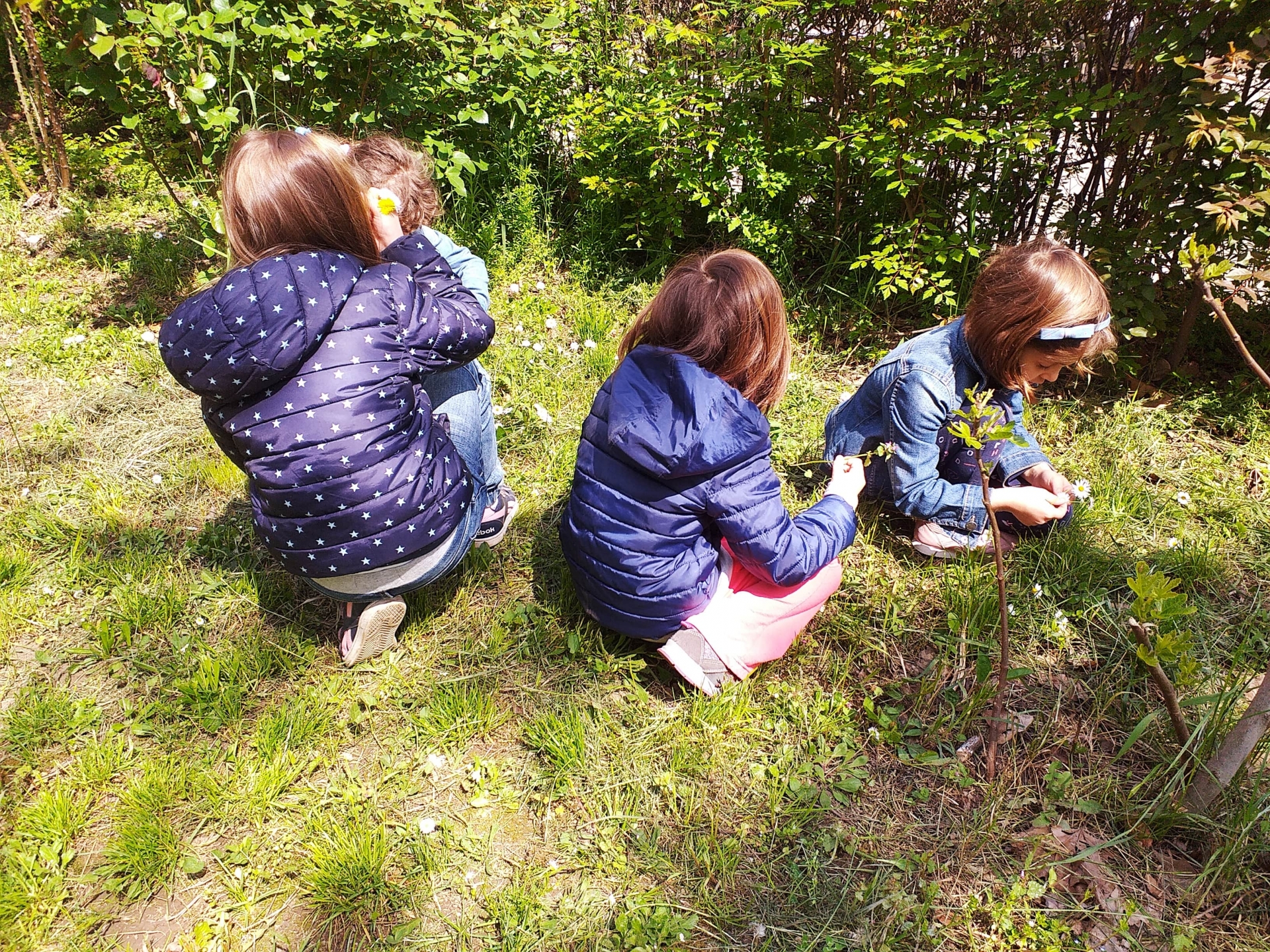 Tradicija i običaji - Vrbica